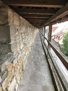 15-206tr.jpg