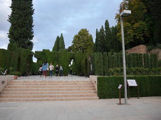 13-111tr.jpg