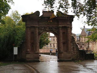 15-81tr.jpg