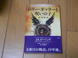 HP1.jpg
