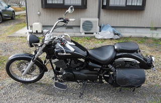 ds250-2.jpg
